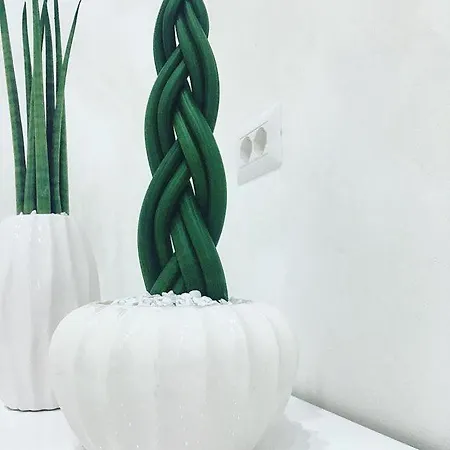 Dream & Relax بيت ضيافة