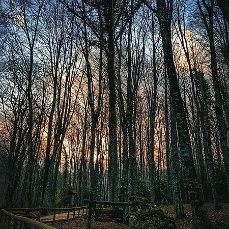 Pensión Dream & Relax 4*